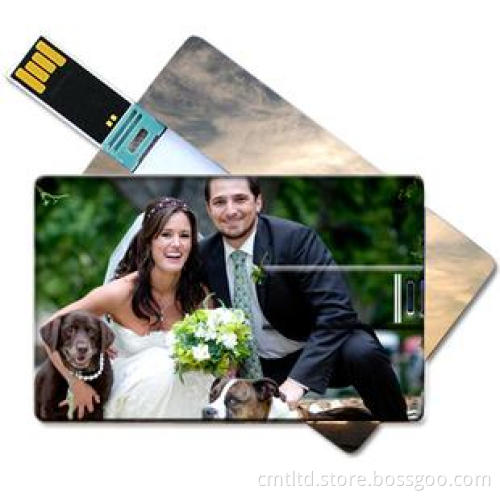 Promotion Gift Credit Card USB Flash Drive (CMT-CC001)